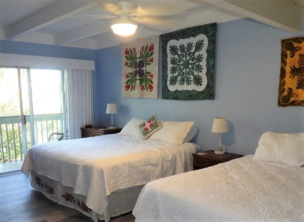 Puamana 9C Condo