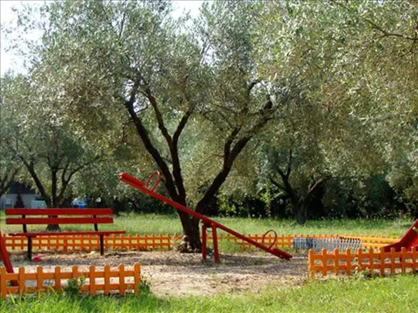 Sophies Olive haven