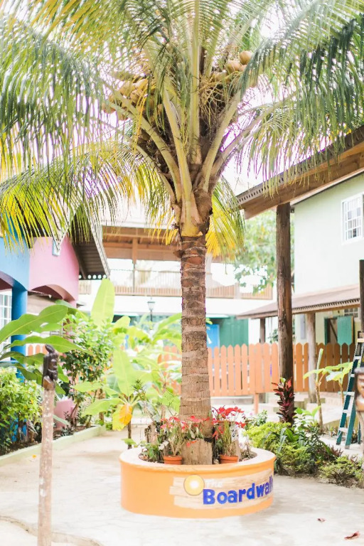 THE BOARDWALK VILLAGE