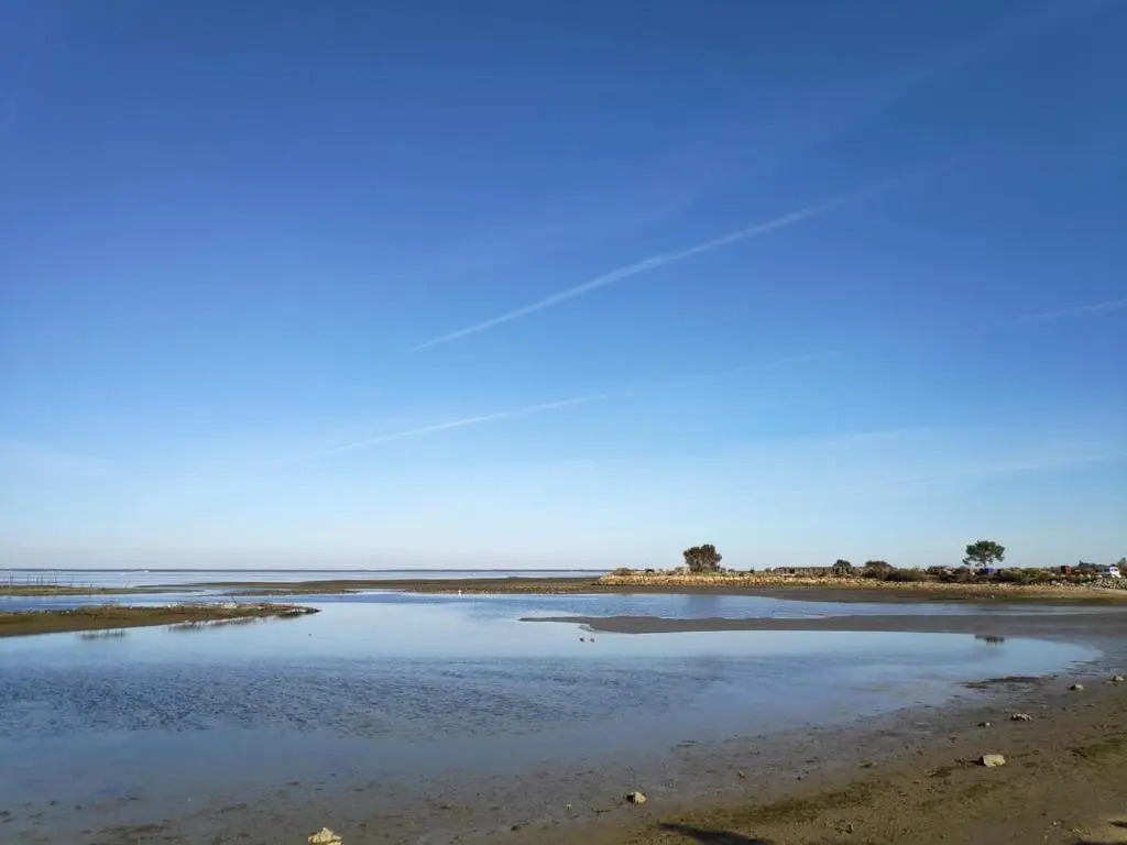 Confort et charme à 4km d'Arcachon centre