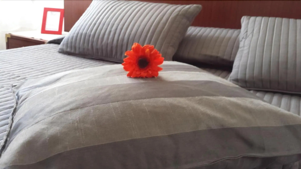 Galleria Rooms & Apartments Smart Stay nel cuore di Frascati