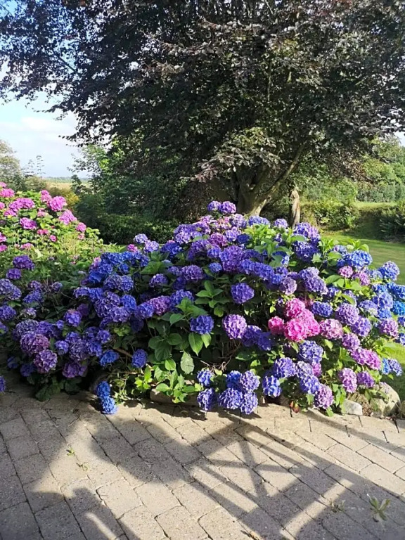 Hvirrekærgaard, midt i naturen.