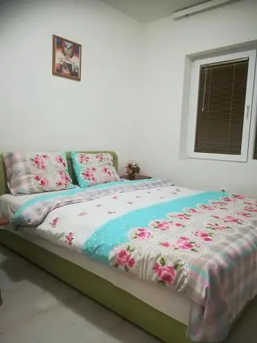 House Nativa