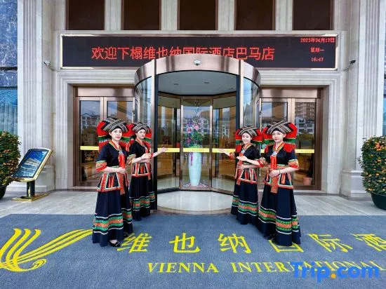 Vienna International Hotel (Bama)