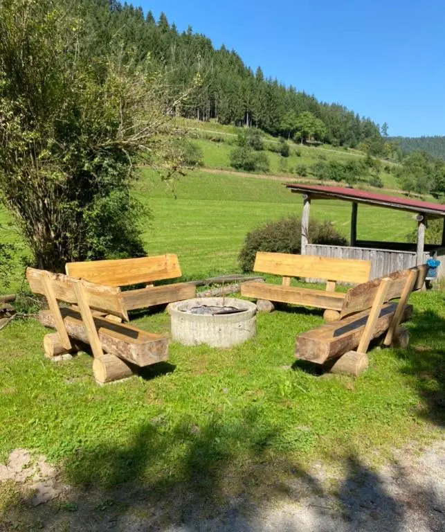 Dobelblick