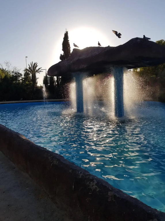 "Vero Vijola" in Torrevieja
