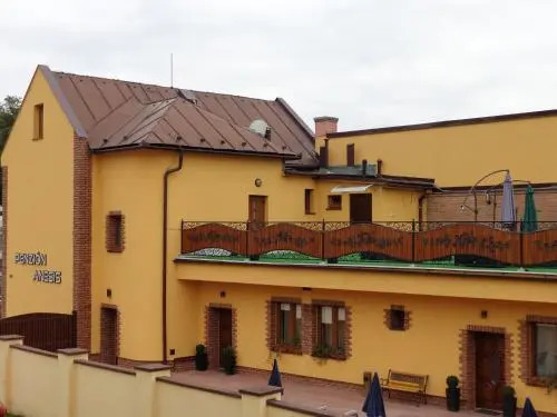 Studia Anesis