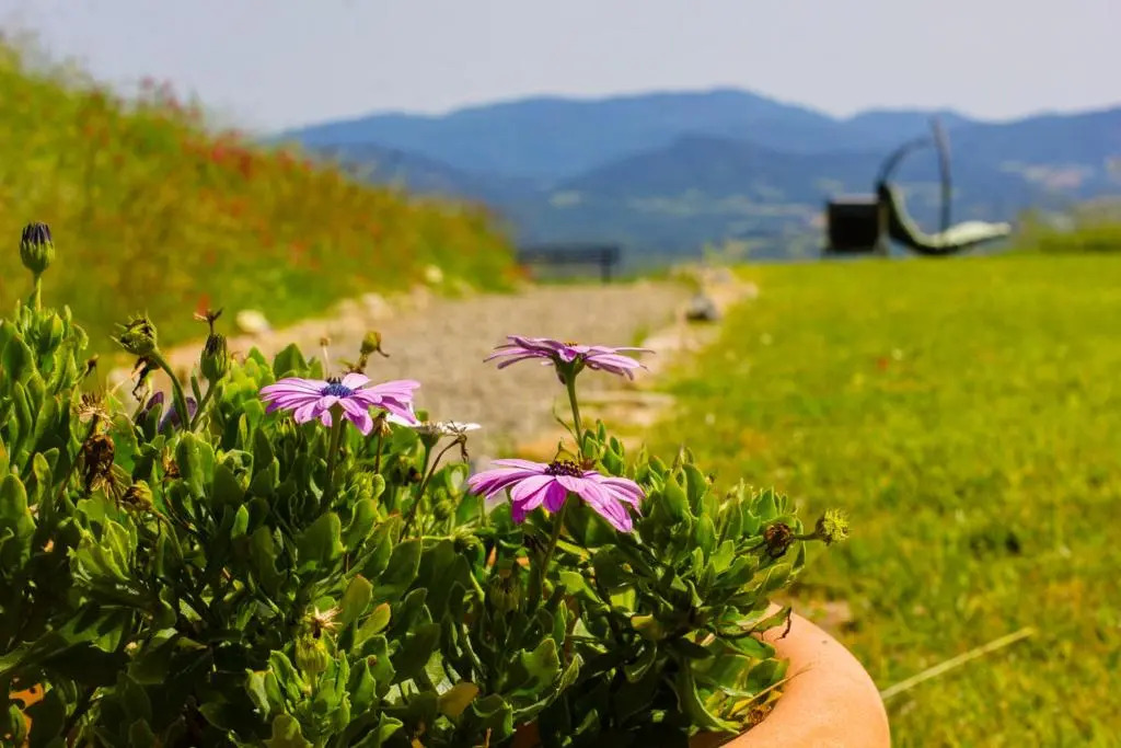 In Canto Sul Poggio