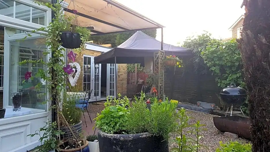 Wisteria Guest House