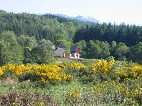 Garadh Buidhe