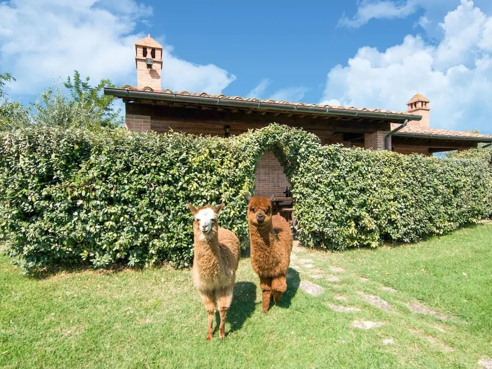 Farmhouse by Lake Trasimeno with Pool