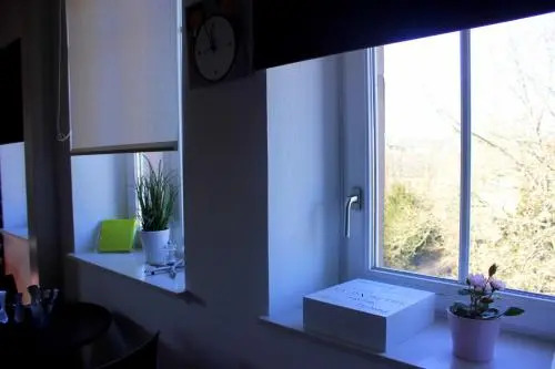Studio de la Petite Venise