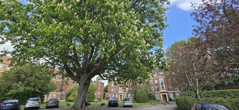 Cozy Retreat in Historic Oxford With Free Parking