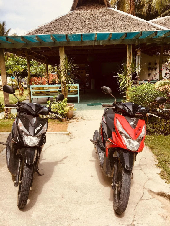 Vivo Siargao
