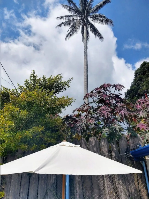 Casa Colombia Salento