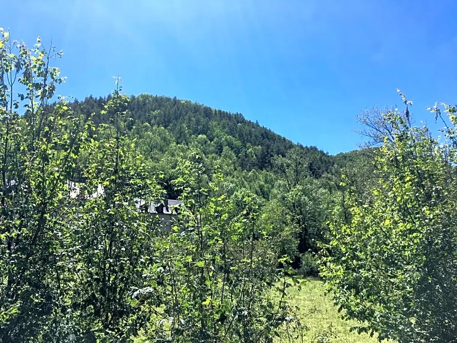 Au bord de l'eau