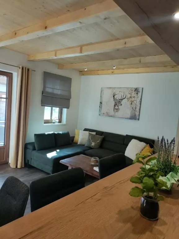 Hochalmbahnen Chalets 15W1, Birke, nahe Gondel, Hunde willkommen