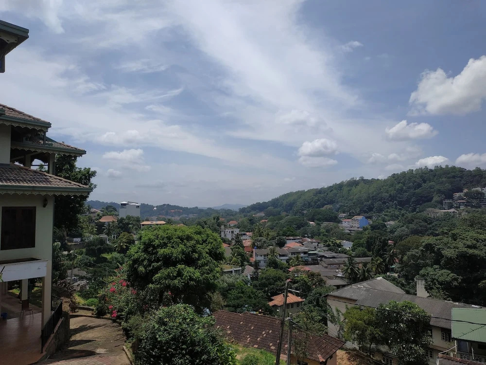 The Breeze