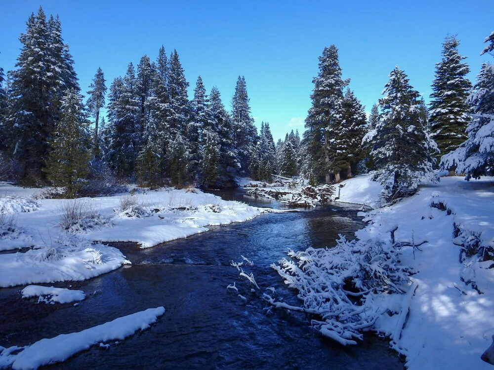Stonewood Retreat at Tahoe Donner