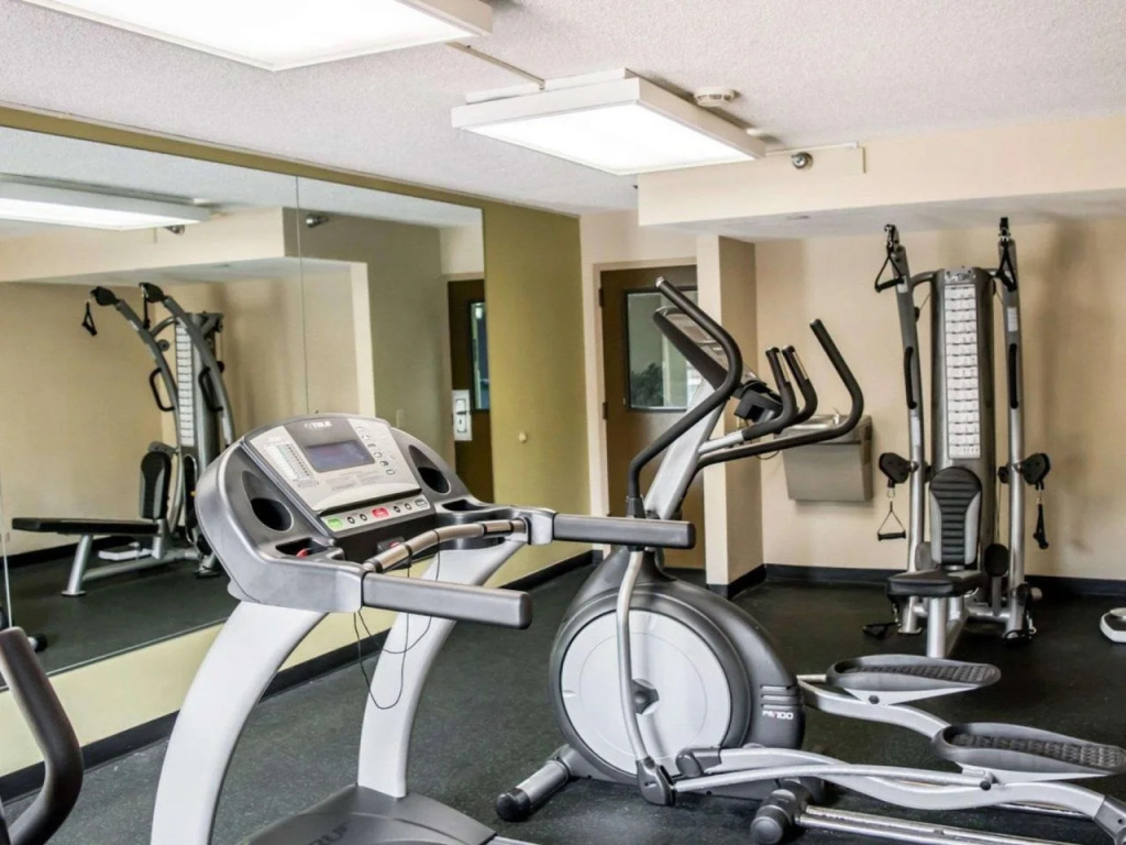 Comfort Inn & Suites St Pete - Clearwater International Airport