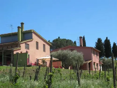 Conte Francesco I 231S