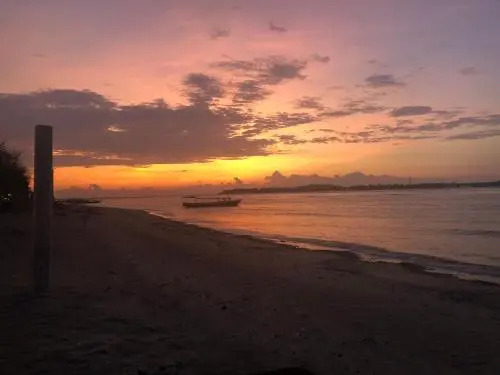 Cinta Palanta