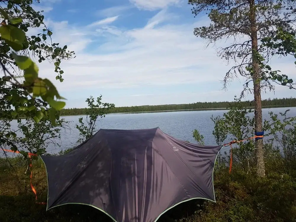 Metsä Kolo