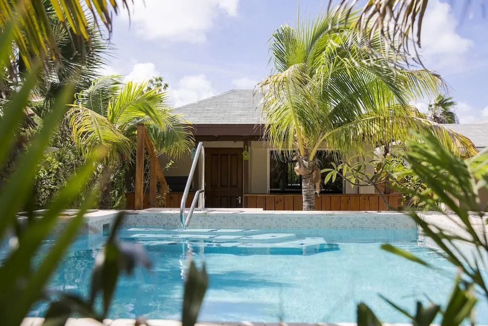 Little Jungle Apartments Aruba