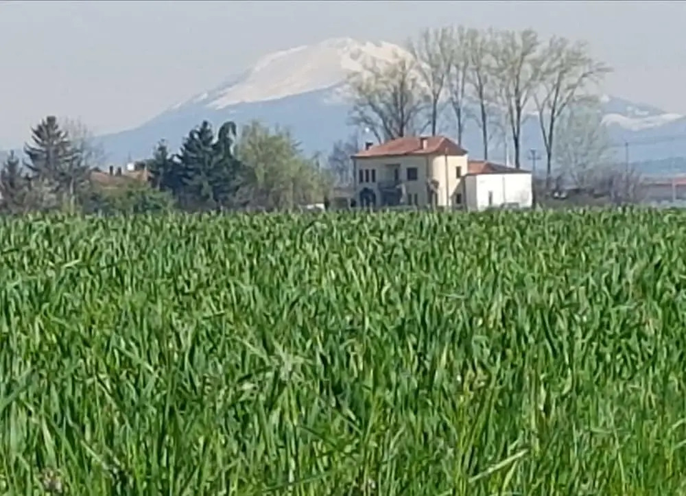 B&B Nascondino
