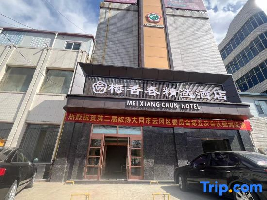 Meixiangchun Collection Hotel (Datong Yungang District)