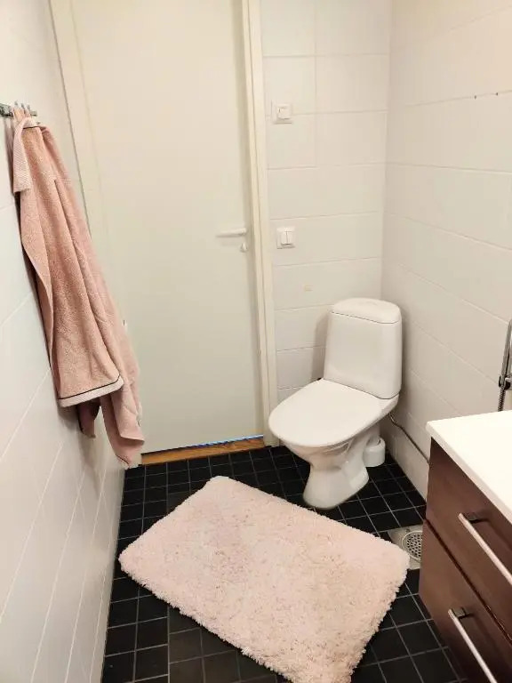 Viihtyisä yksiö Porissa