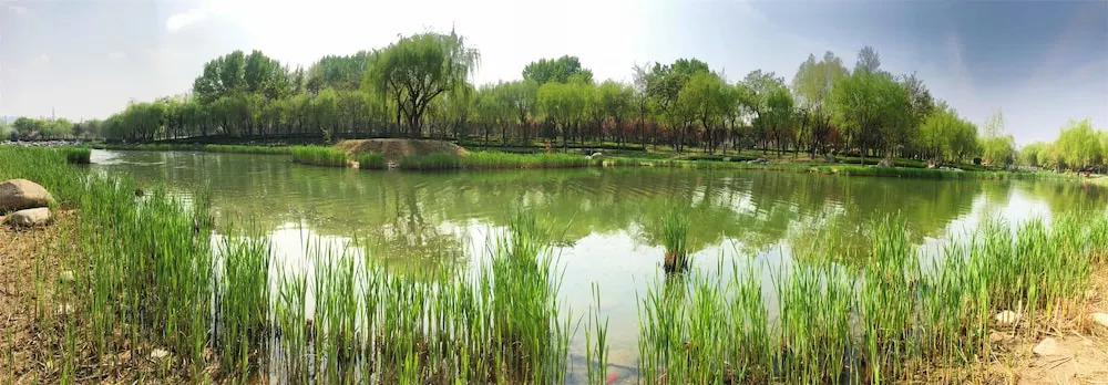 Xi'an Impression Nanhu Lake Homestay