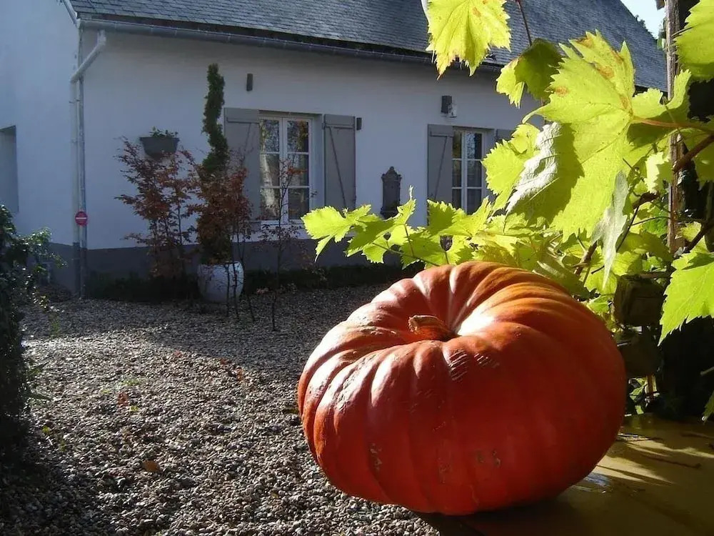 Cottage d Hamicourt