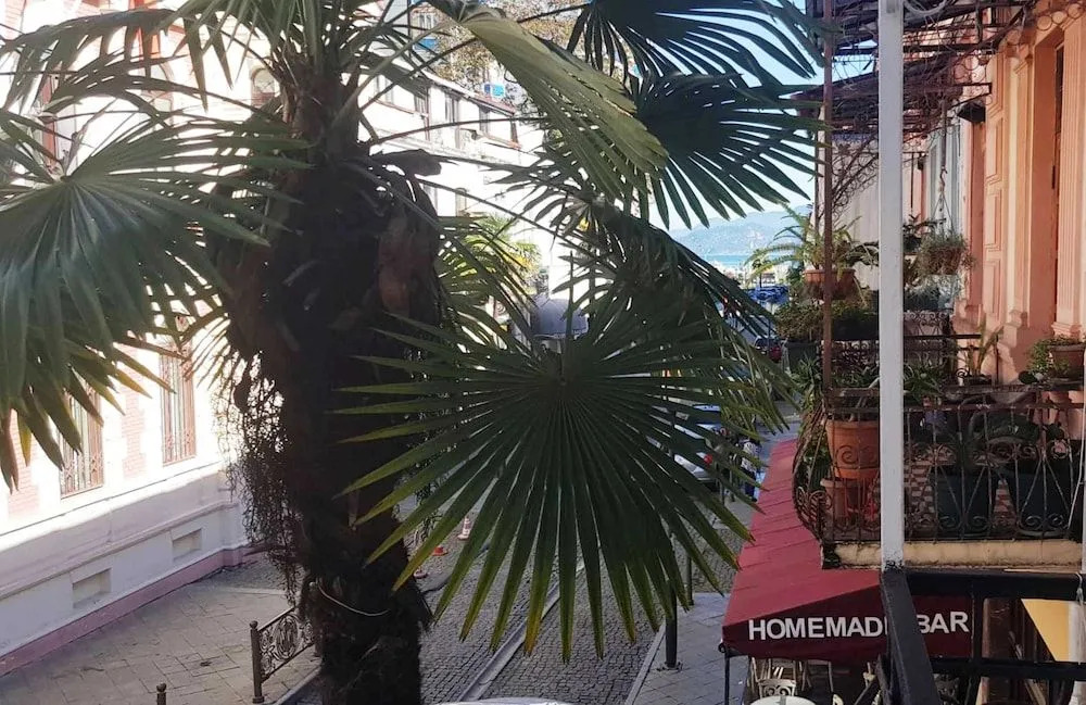 Hotel Cattaleya