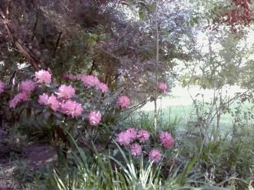 Fairview Manor Bed and Breakfast
