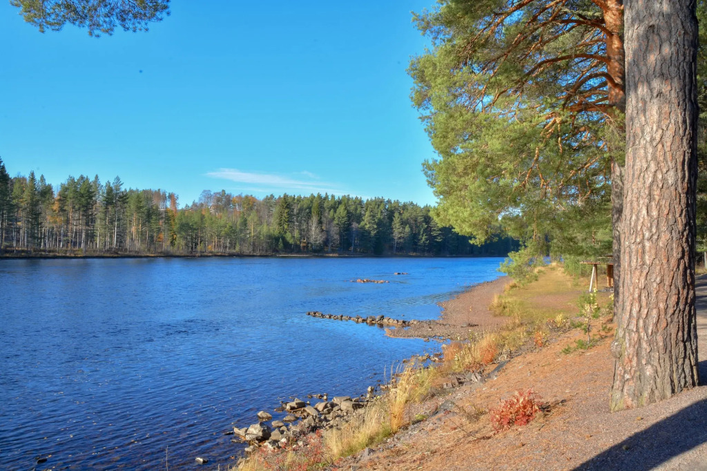 Älvdalens Camping
