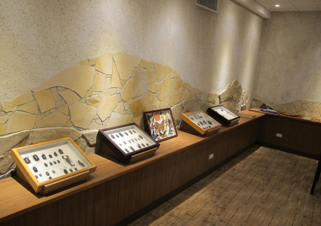 Ginkgo Hotel