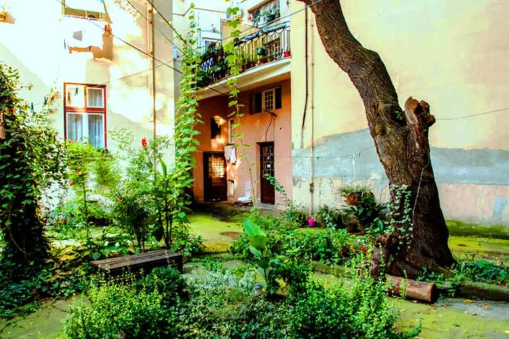 City Oasis Apartment