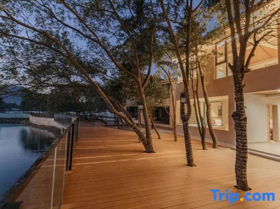 Longmen Nankunshan Night Flame · Fireworks World Lodging