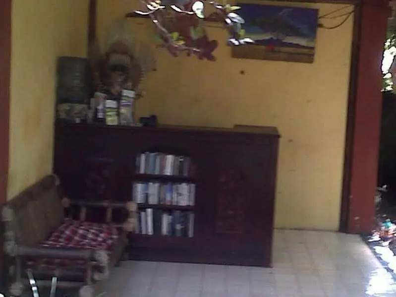 Artini 3