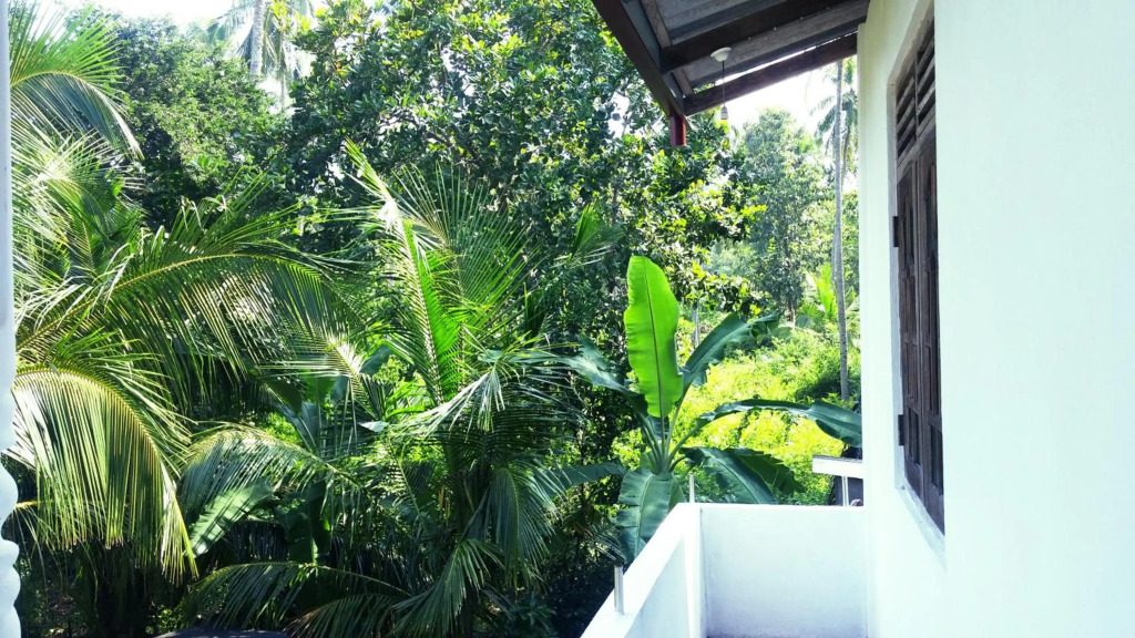 Nature Villa