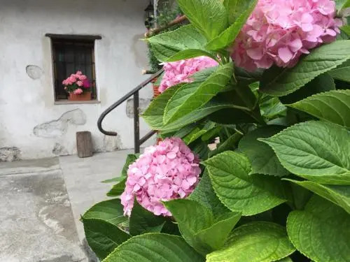 Maison Cassius