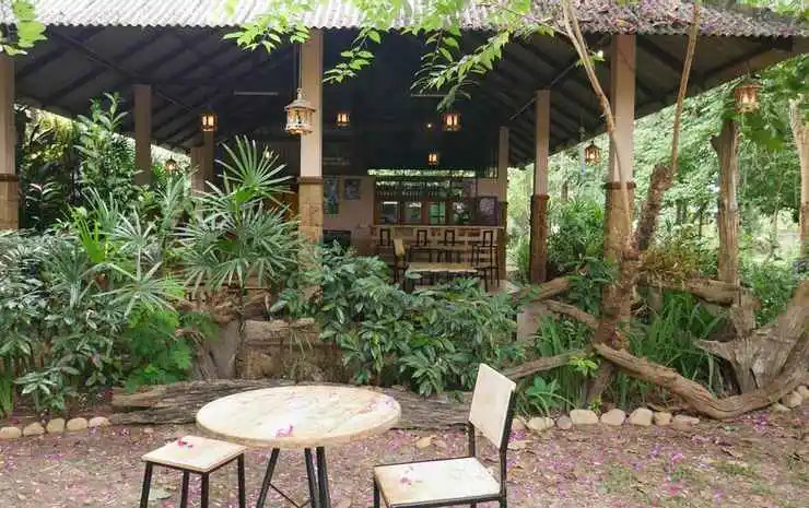 Microkosmos Guesthouse (Chiang Dao)