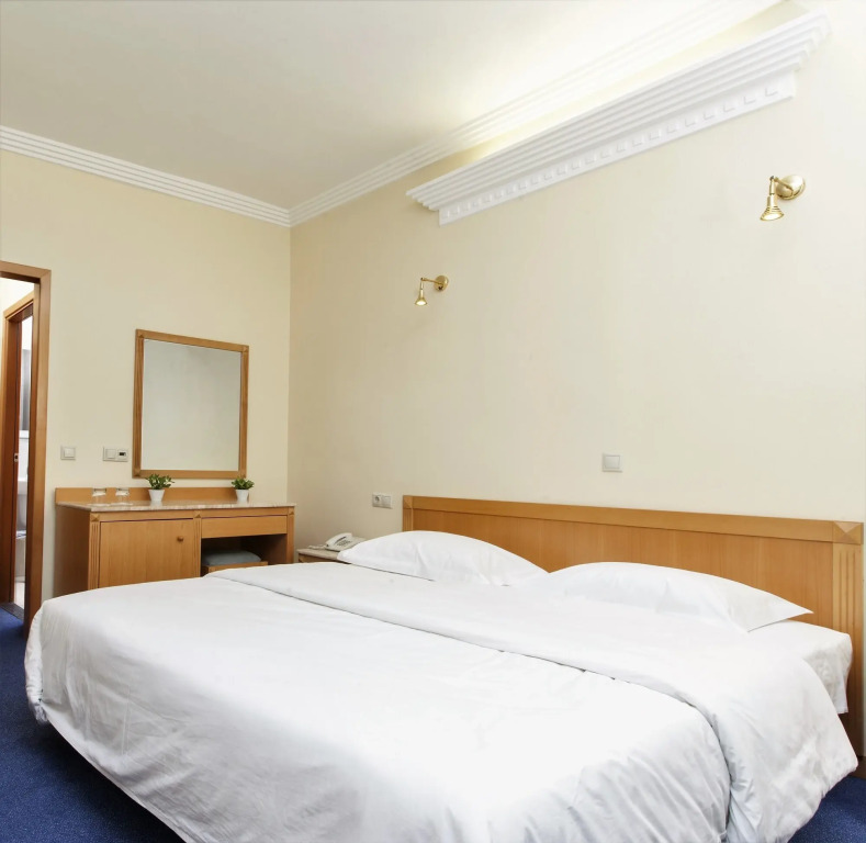 Telioni Hotel