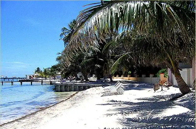 Bananas On The Beach