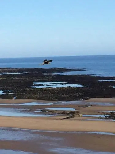 North Sands Lodge