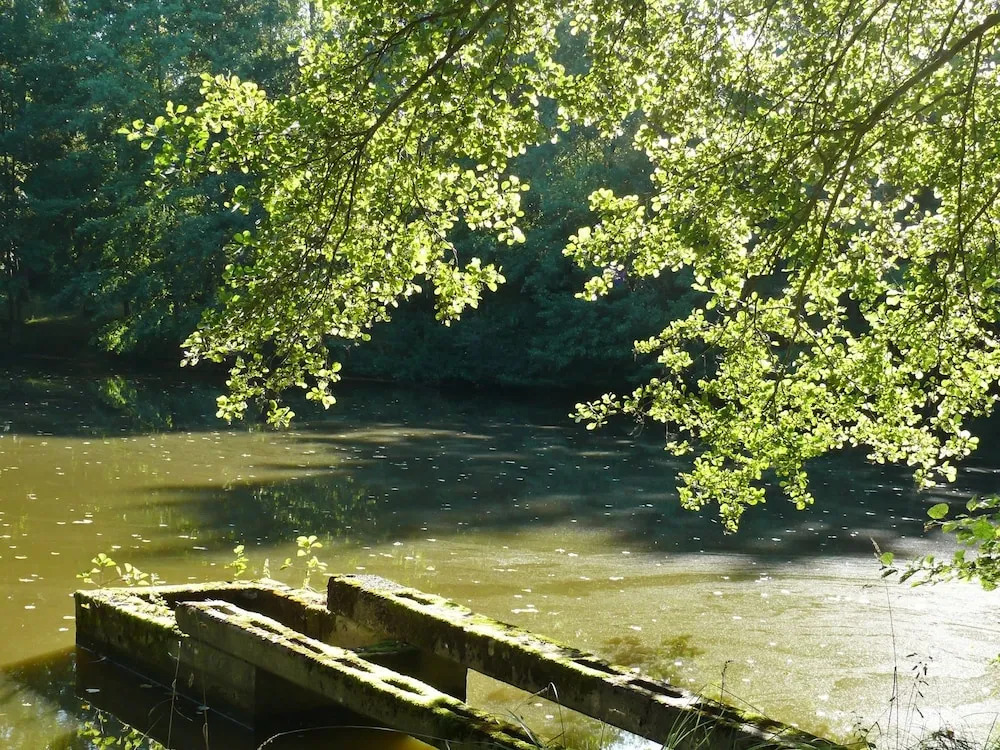 House With 2 Bedrooms in Lourdoueix Saint-pierre, With Wonderful Lake