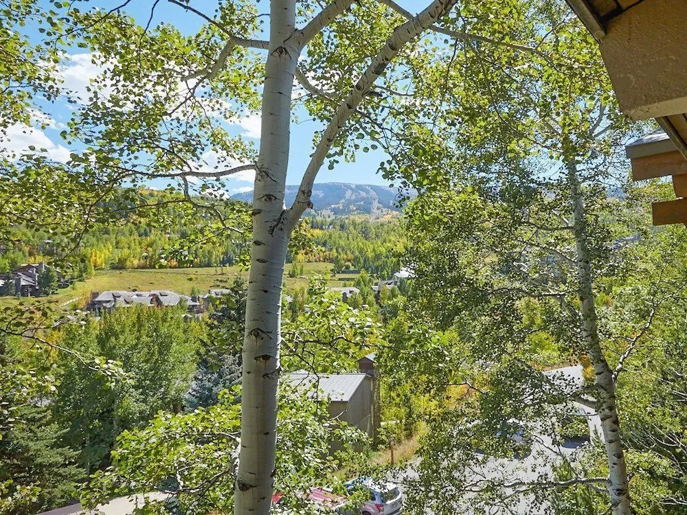 Alpine Condo in Snowmass Village by RedAwning
