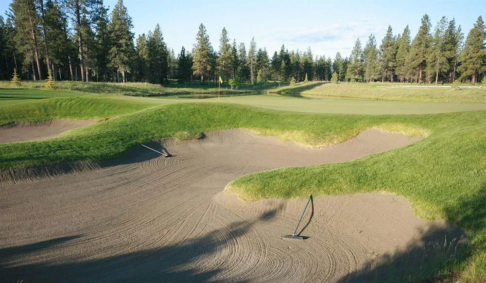 Wilderness Club