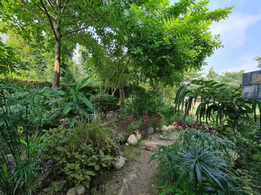 Srina Vilas, Corbett
